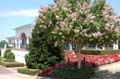1426 DSC_0028