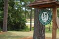 1542 DSC_0040
